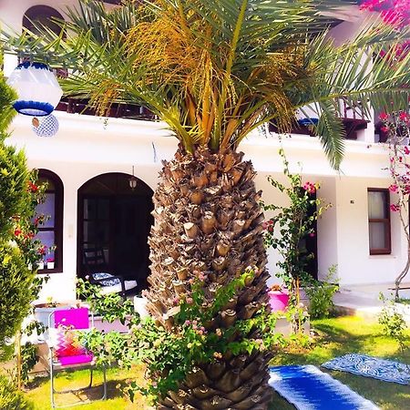 Kiraz Cicegi Butik Otel Akyaka Exteriör bild